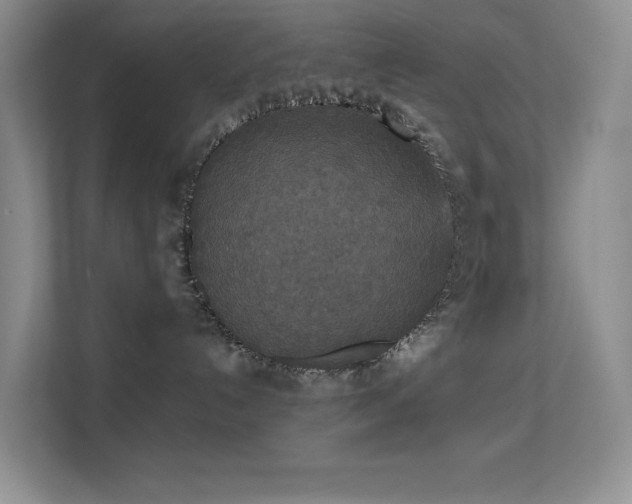 X0000113550192200909251045