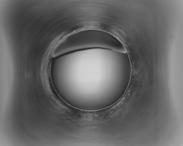 X0000113550193200909251045