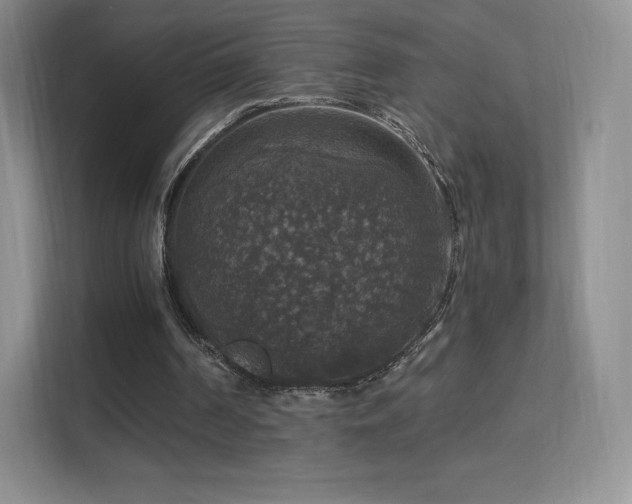 X0000113550194200909251045