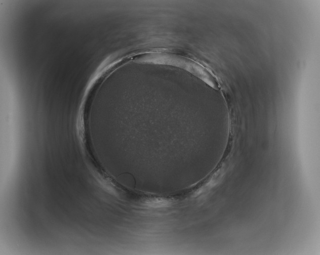 X0000113550198200909251045