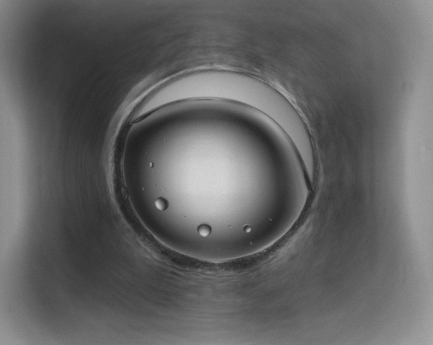 X0000113550199200909251045