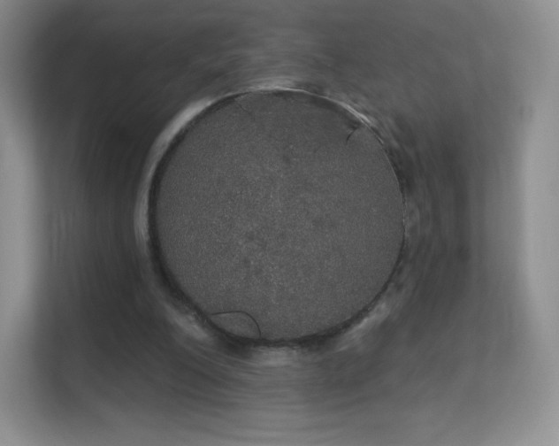 X0000113550200200909251045