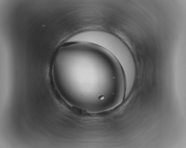 X0000113550201200909251045