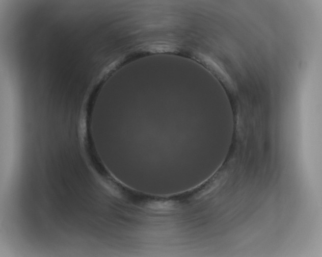 X0000113550202200909251045