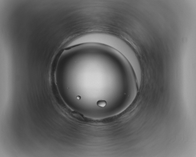 X0000113550203200909251045