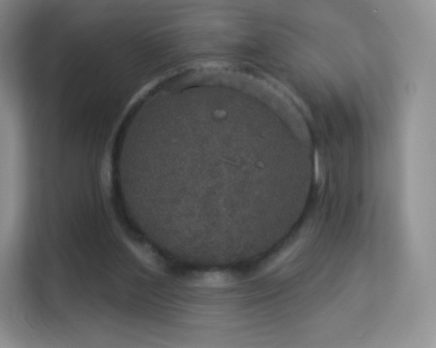 X0000113550204200909251045