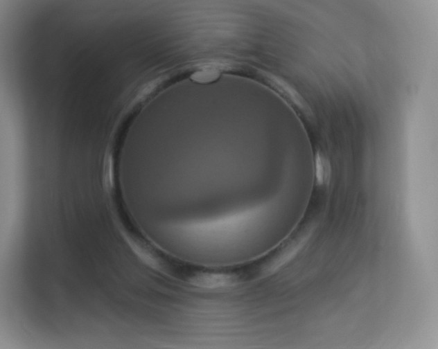 X0000113550205200909251045