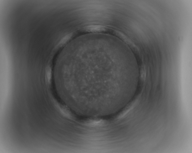 X0000113550206200909251045