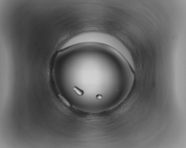 X0000113550207200909251045