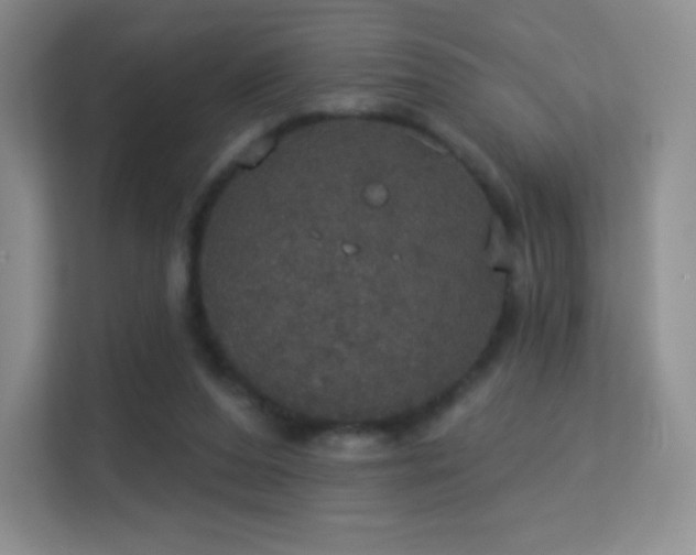 X0000113550208200909251045