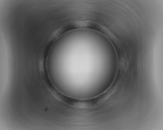 X0000113550209200909251045