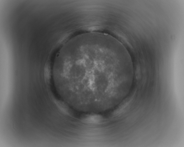 X0000113550210200909251045