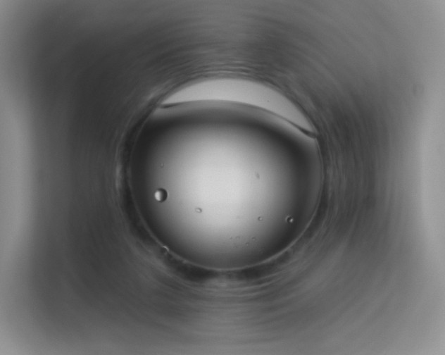 X0000113550211200909251045