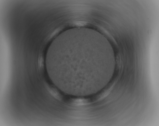 X0000113550212200909251045