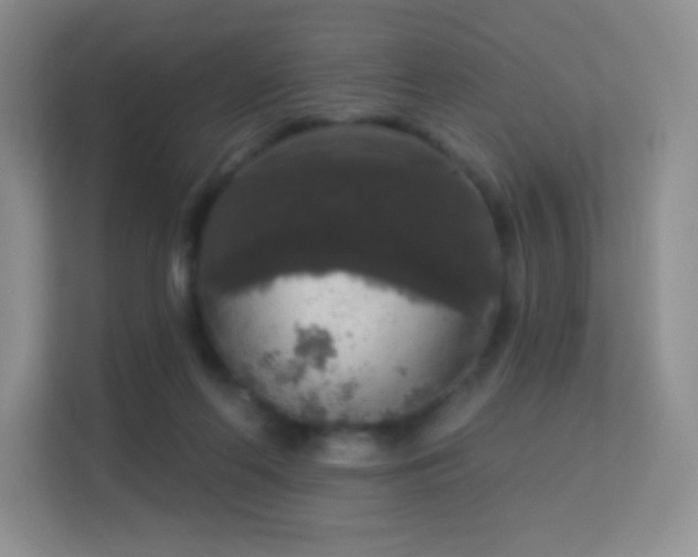 X0000113550214200909251044