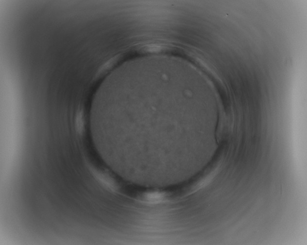 X0000113550216200909251044