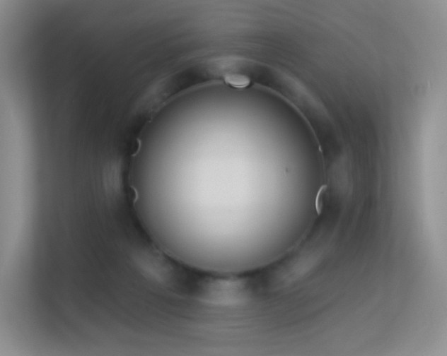 X0000113550217200909251044