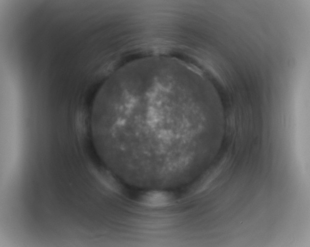 X0000113550218200909251044