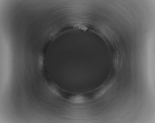 X0000113550219200909251044