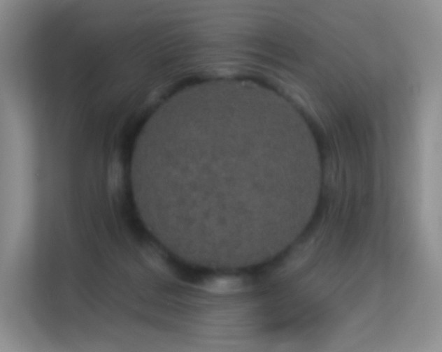 X0000113550220200909251044