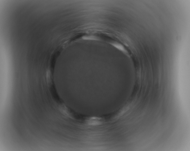 X0000113550222200909251044