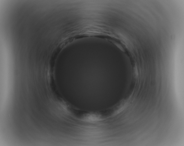 X0000113550223200909251044