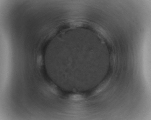 X0000113550224200909251044