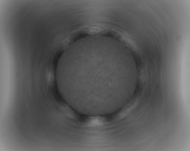 X0000113550226200909251044