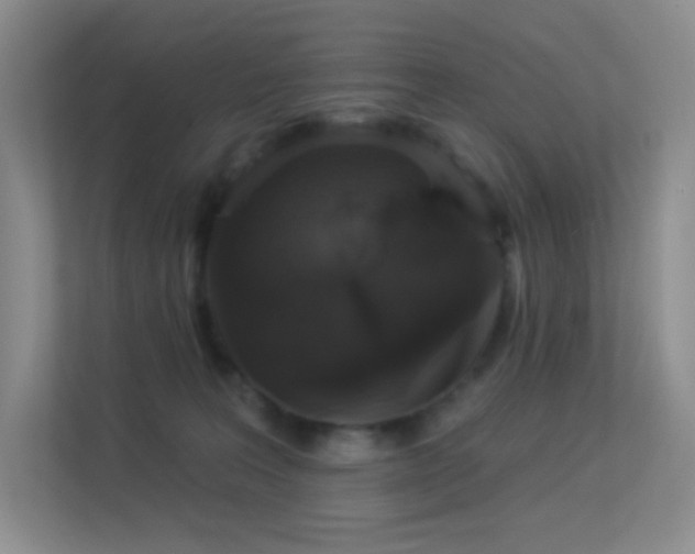 X0000113550227200909251044