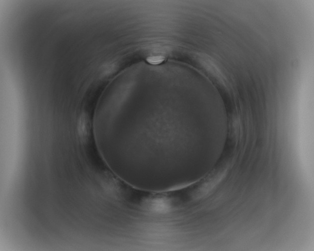 X0000113550228200909251044