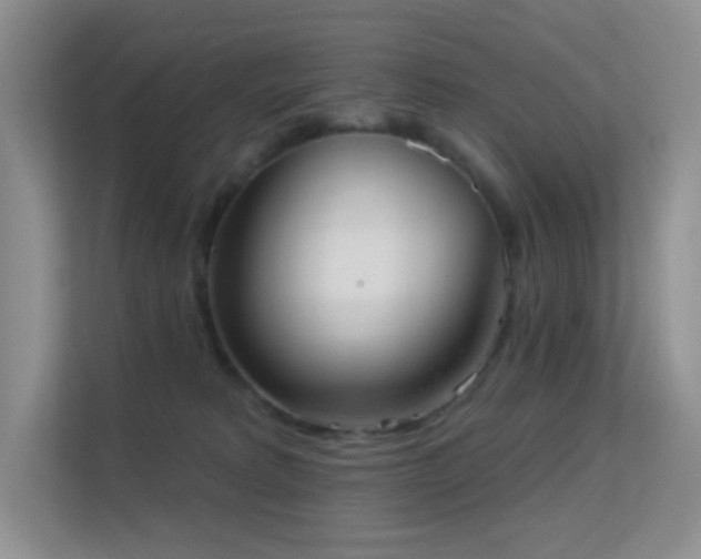 X0000113550229200909251044