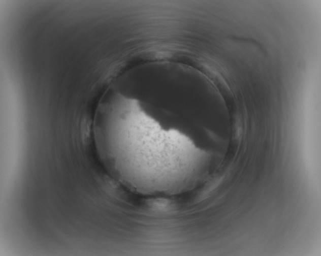 X0000113550230200909251044