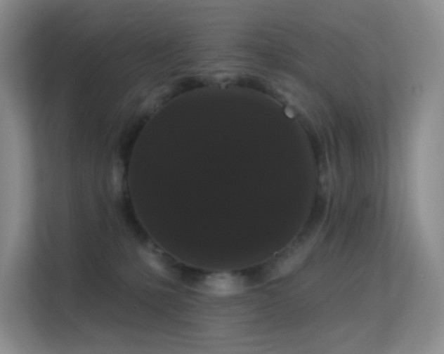 X0000113550231200909251044