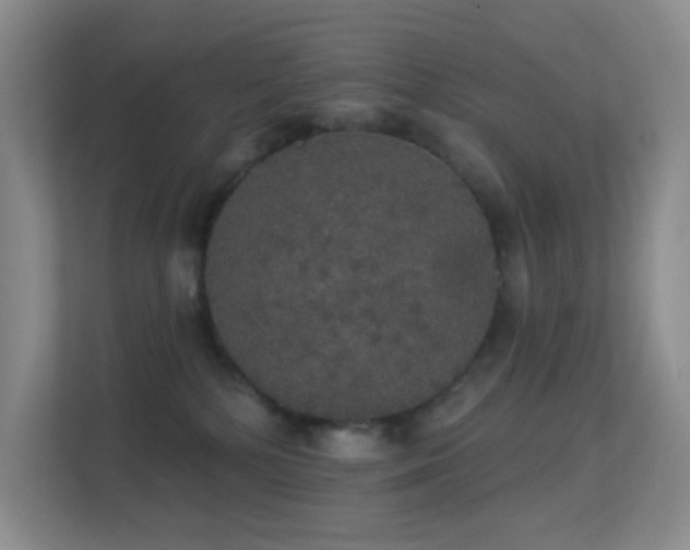 X0000113550232200909251044