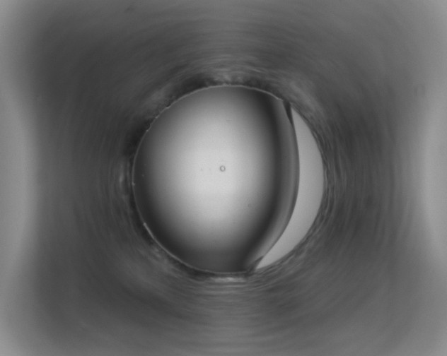 X0000113550233200909251044