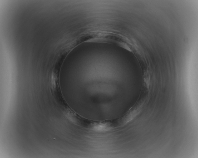 X0000113550235200909251044