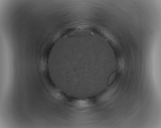 X0000113550236200909251044