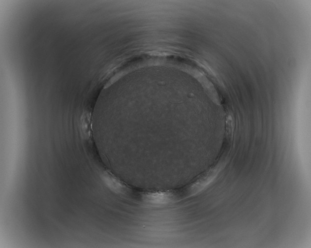 X0000113550237200909251044