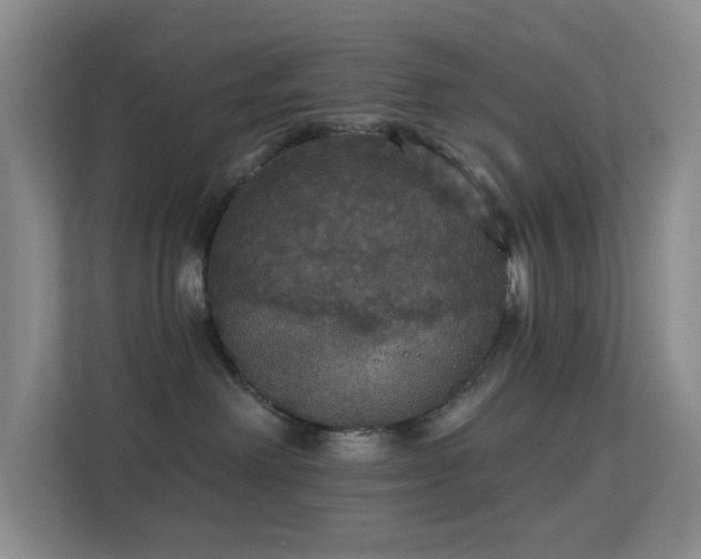 X0000113550238200909251044