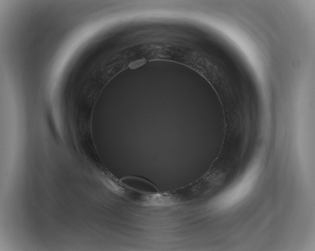 X0000113550239200909251044