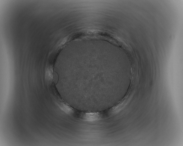 X0000113550240200909251044