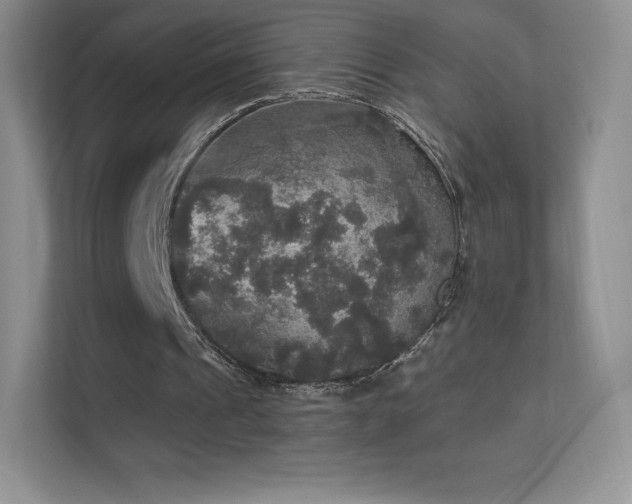 X0000113550241200909251044