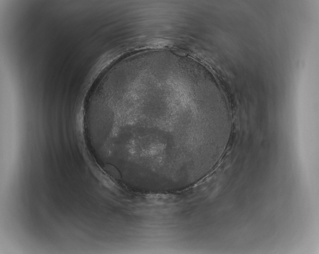 X0000113550242200909251044