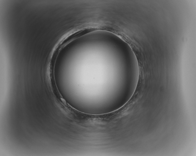 X0000113550244200909251044