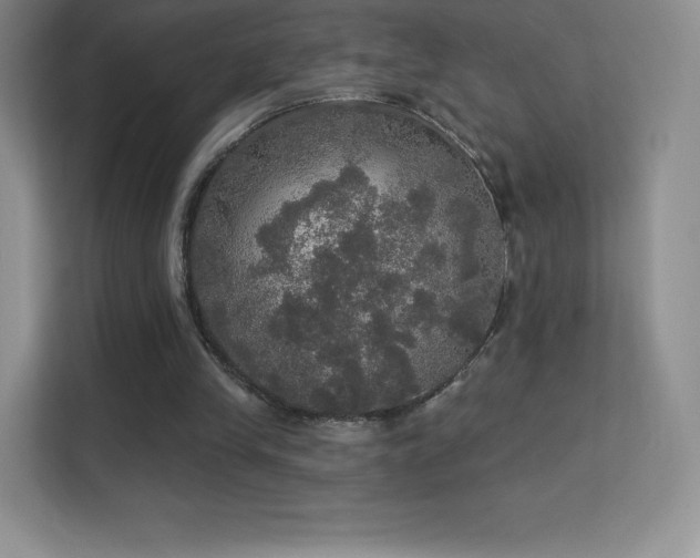 X0000113550245200909251044