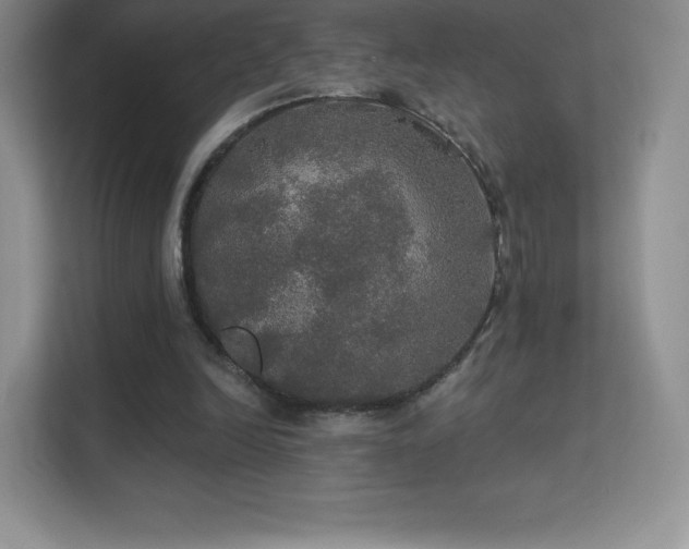 X0000113550246200909251044