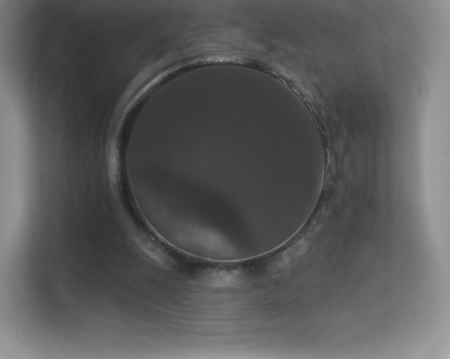 X0000113550247200909251044