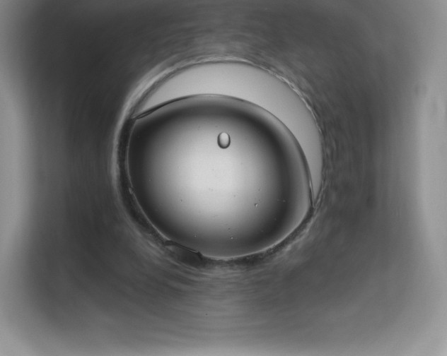 X0000113550248200909251044