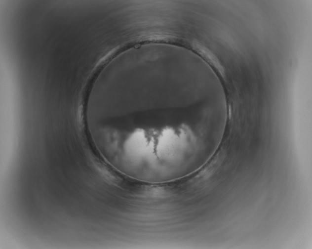 X0000113550249200909251044