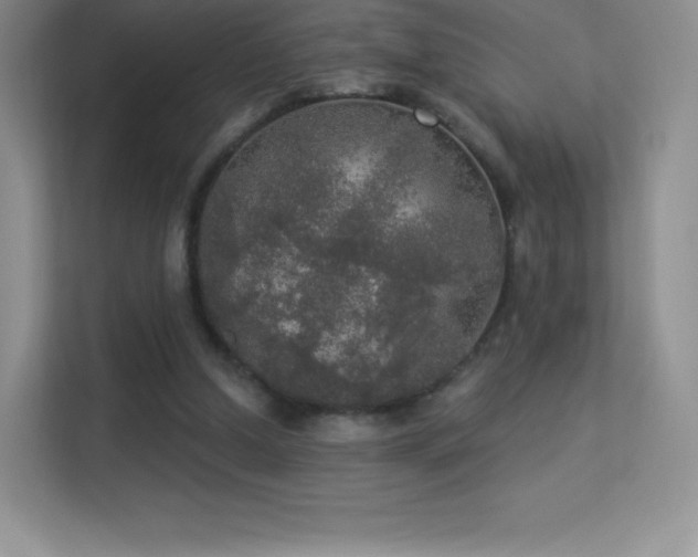 X0000113550250200909251044